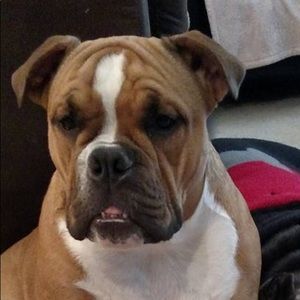 Meet your Posher, Billy